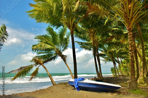 Boat and Palm Trees © olelia
