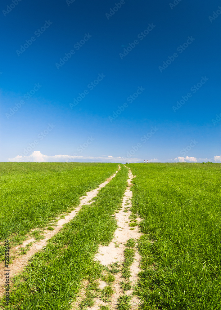 Fototapeta premium Road and Nobody Acres Wild