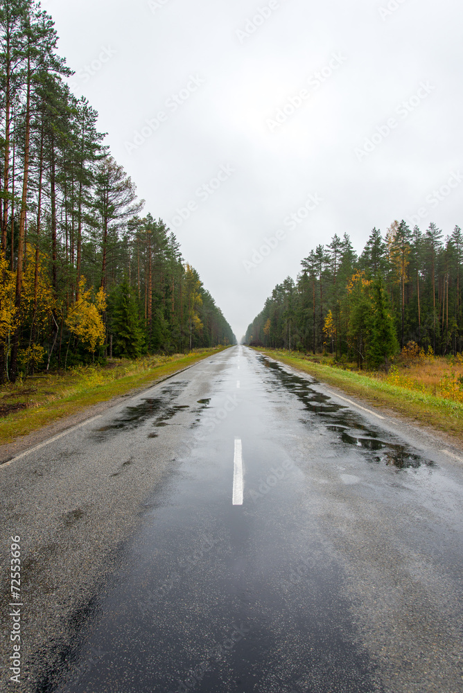 Fototapeta premium wet asphalt road with sun reflections