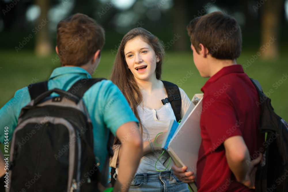 Cute Girl Talking with Boys