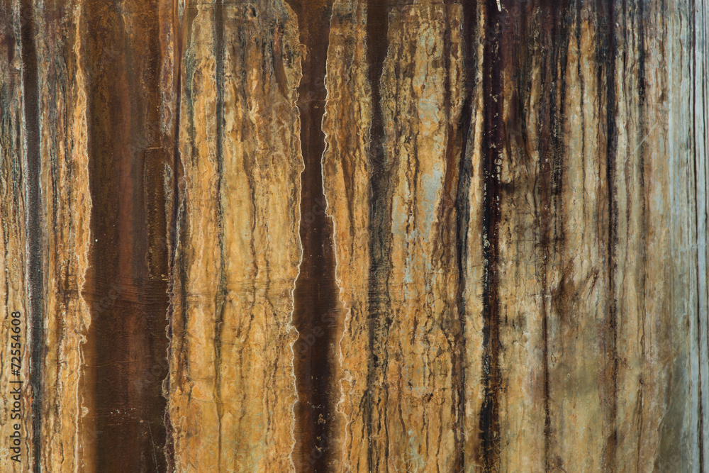 Obraz premium Background color