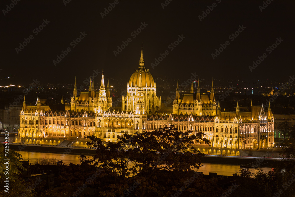 Parliament building at night, Budapest Hungary, high view