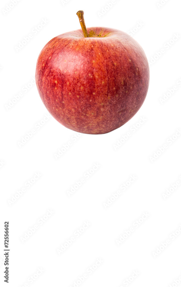 Royal gala apple on white background Royal gala apple on white background