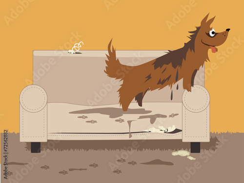 Wet dirty dog jumping on a torn chair