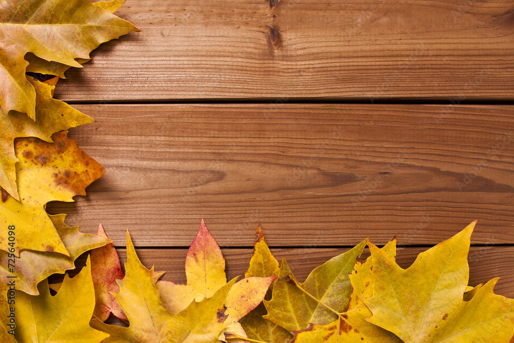 Obraz premium background