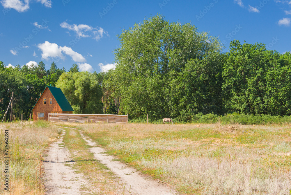 Rural landscape with remote house on the edge of forest