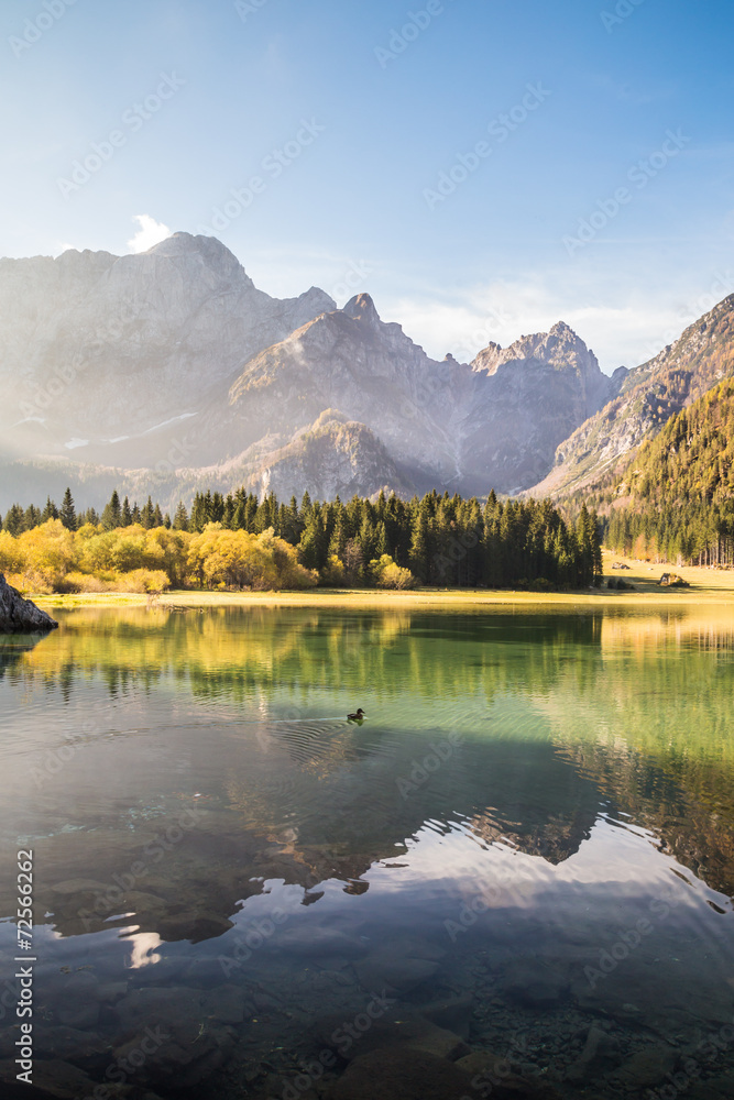 Obraz premium Autumn morning in the alps