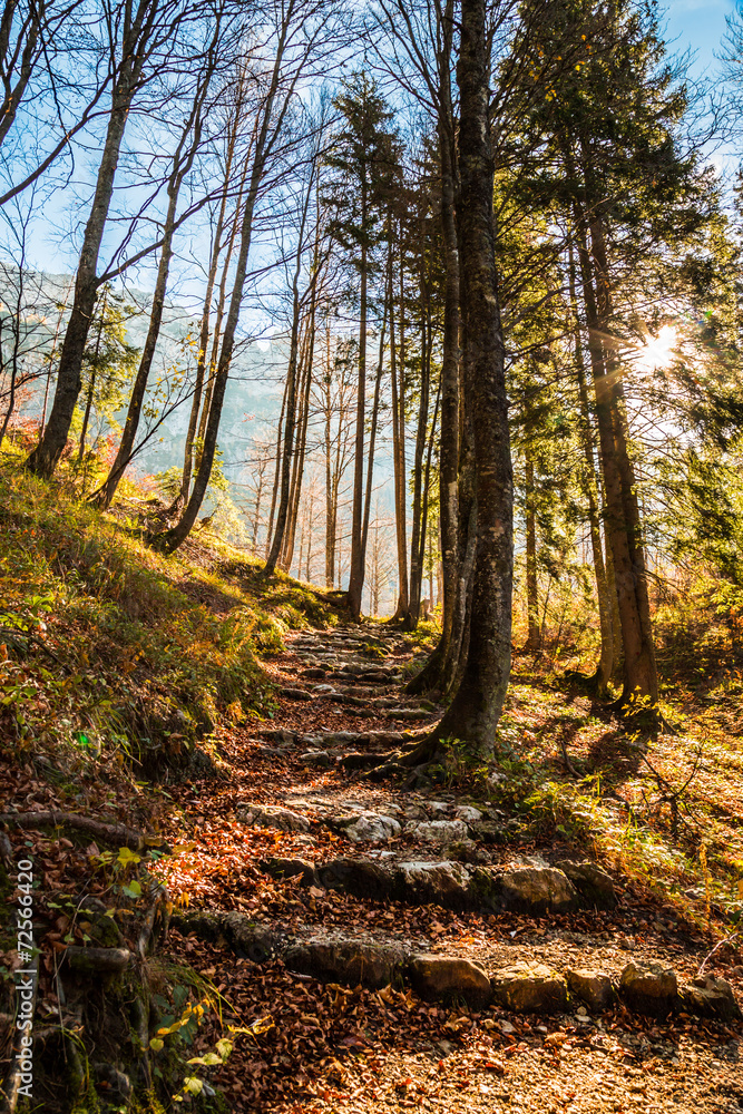Fototapeta premium Autumn morning in the alps