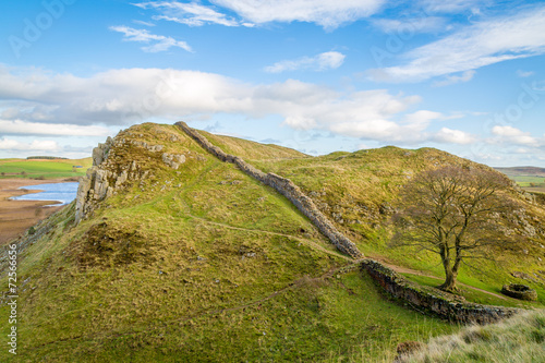 Fototapeta Hadrian's Wall looking at the famous sycamore gap