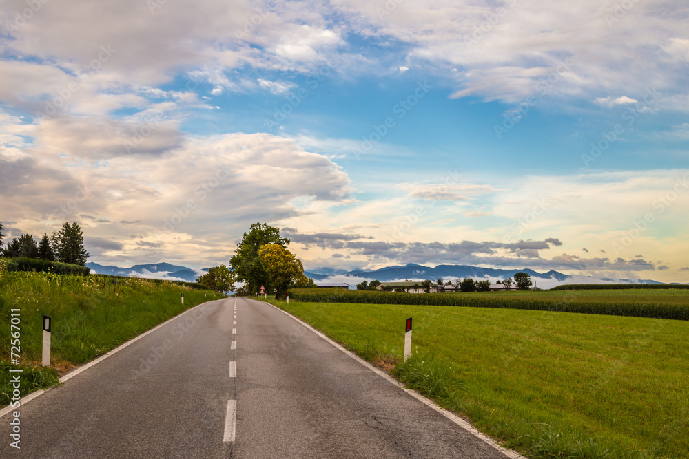 Fototapeta premium road through the fields