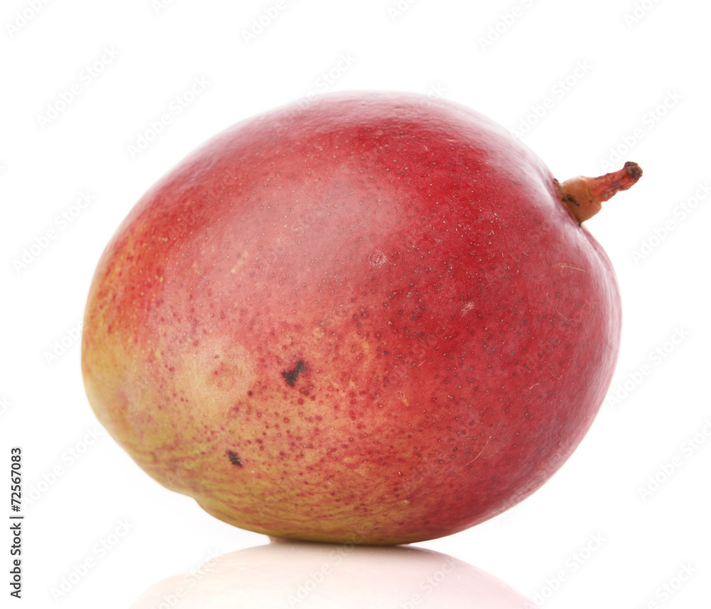 mango fruit isolated on white background mango fruit isolated on white background