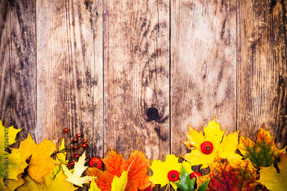 Obraz premium Autumn background, colorful tree leaves.