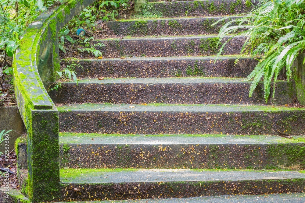 Stone stair covered with moss in thai public park Stone stair covered with moss in thai public park