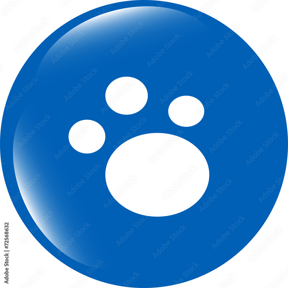 animal footprint glossy web icon isolated on white animal footprint glossy web icon isolated on white