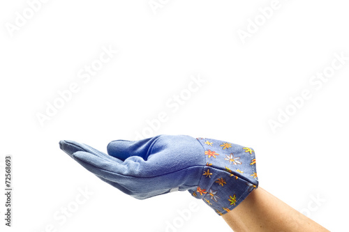 Hand With Gardening Glove