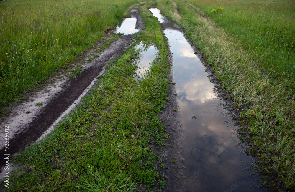 Dirt road with puddles in the green field Dirt road with puddles in the green field