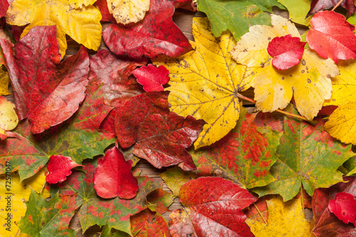 Autumn leaves on table