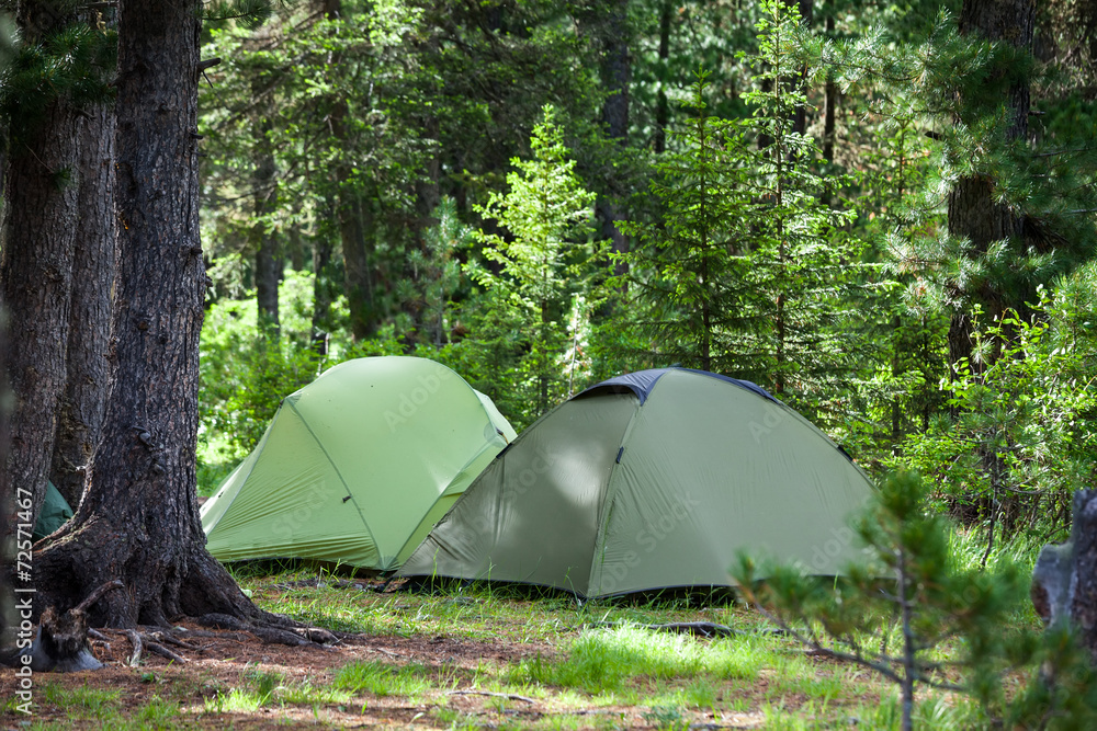 Greent tourist tents in forest at campsite