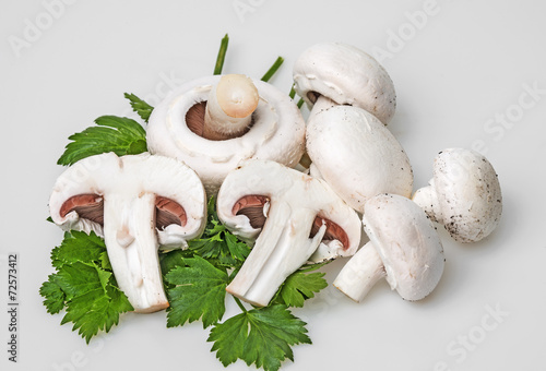 mushrooms - champignons on a white background