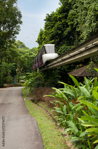 Monorail train in Tropical Forest