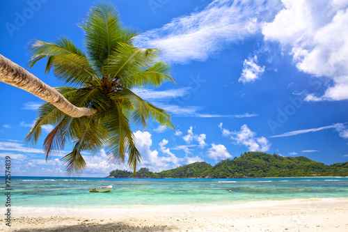 Beautiful palm beach in Mahe Island, Seychelles © Oleksandr Dibrova
