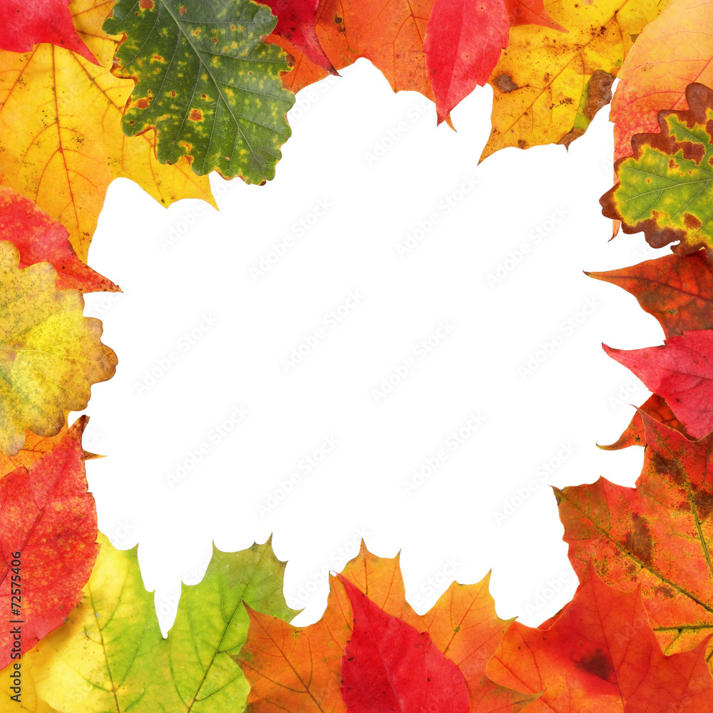Frame composed of colorful autumn leaves Frame composed of colorful autumn leaves
