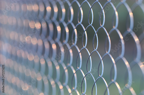 wire netting, netting