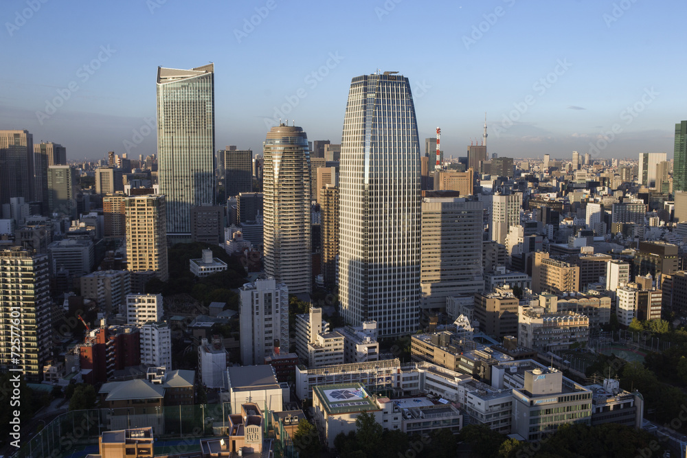 Fototapeta premium amazing tokyo skyline
