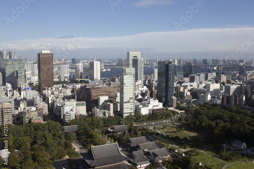 amazing tokyo skyline