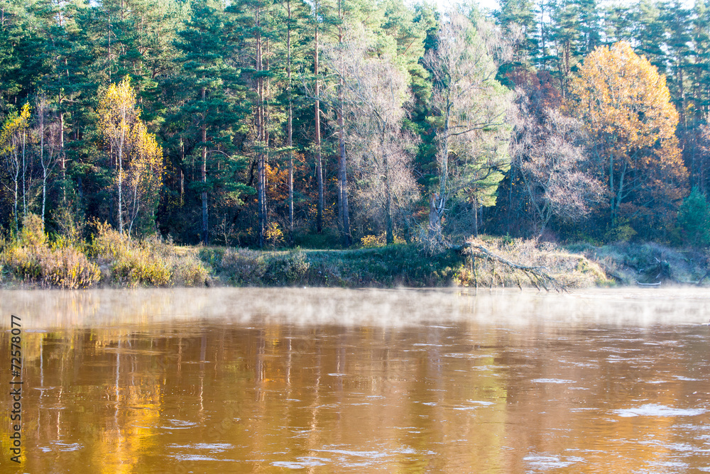 Fototapeta premium scenic autumn colored river in country