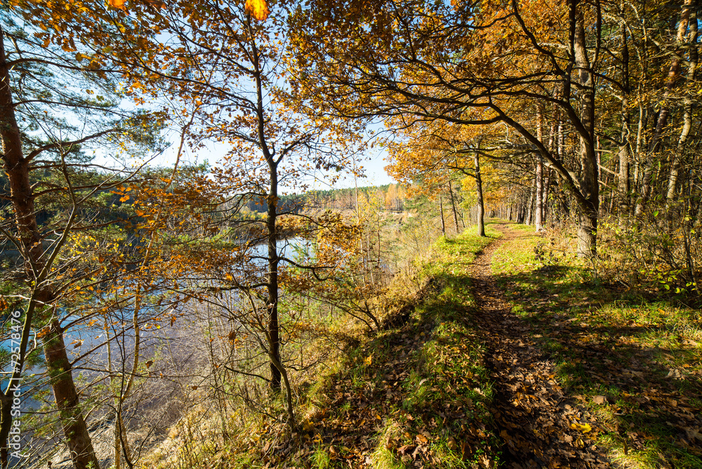 autumn colored tourism trail in the woods autumn colored tourism trail in the woods