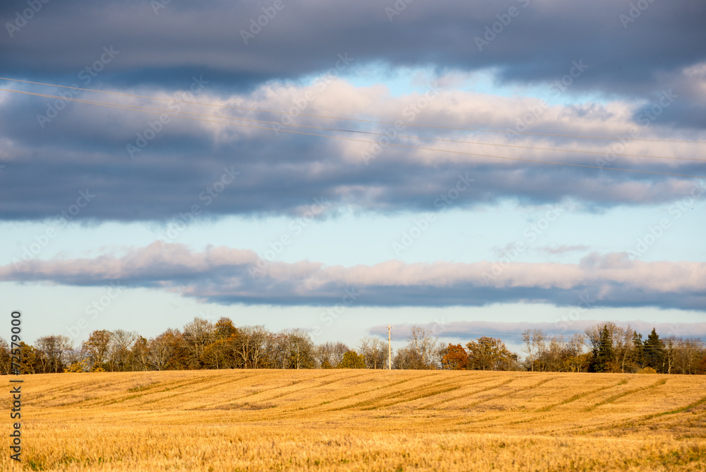 Autumn colored countryside landscape