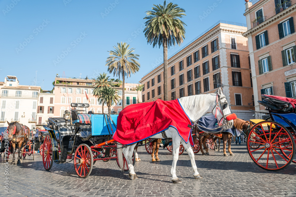 Horses and Carriages Piazza di Spagna, Rome Italy