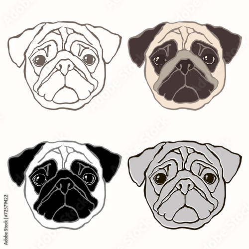 Vector set of  pug's face. Hand-drawn vector illustration. Sketc