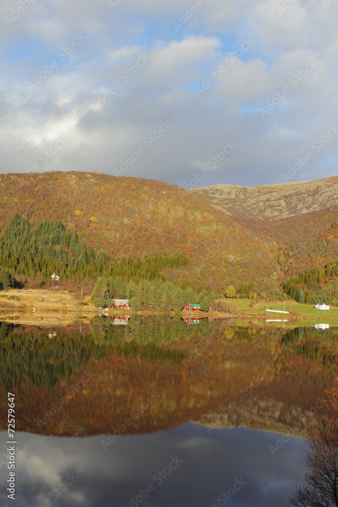 Fototapeta premium Lofoten stripes
