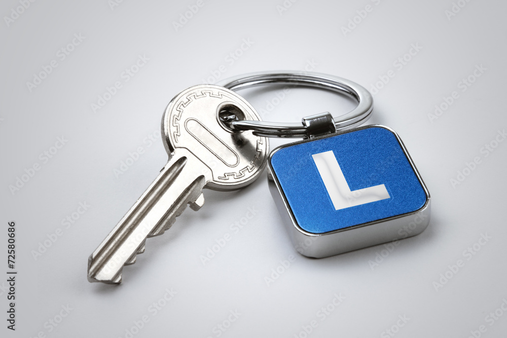 Key of Section L Key of Section L