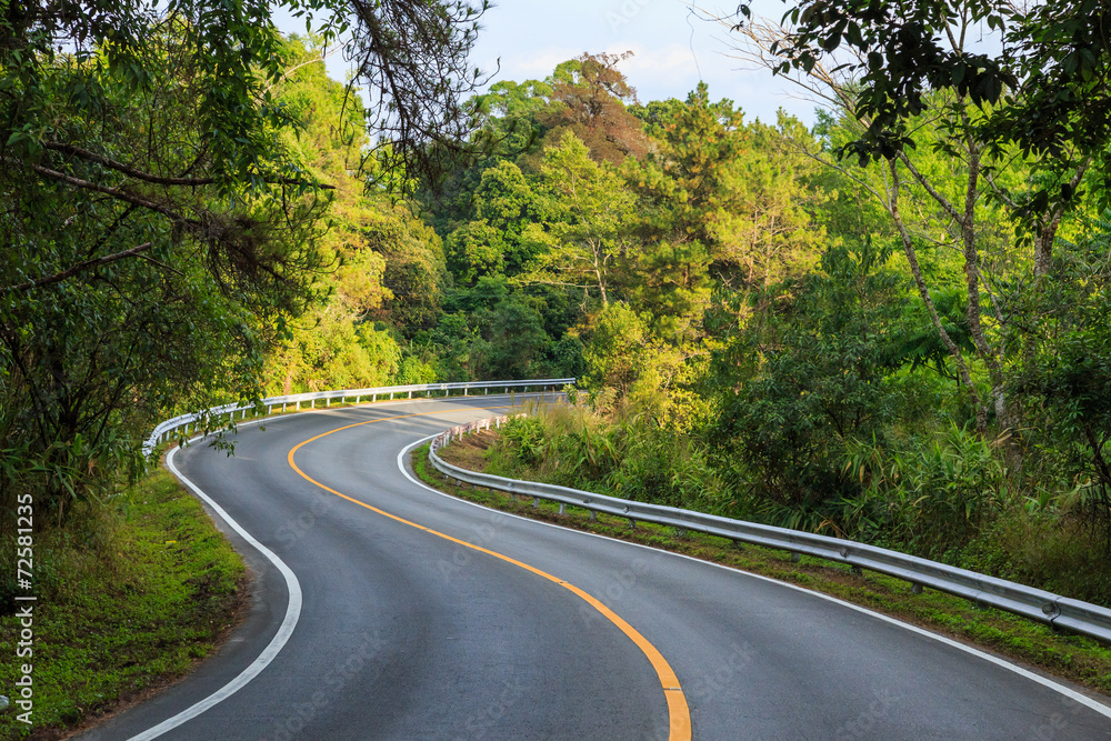 nature road