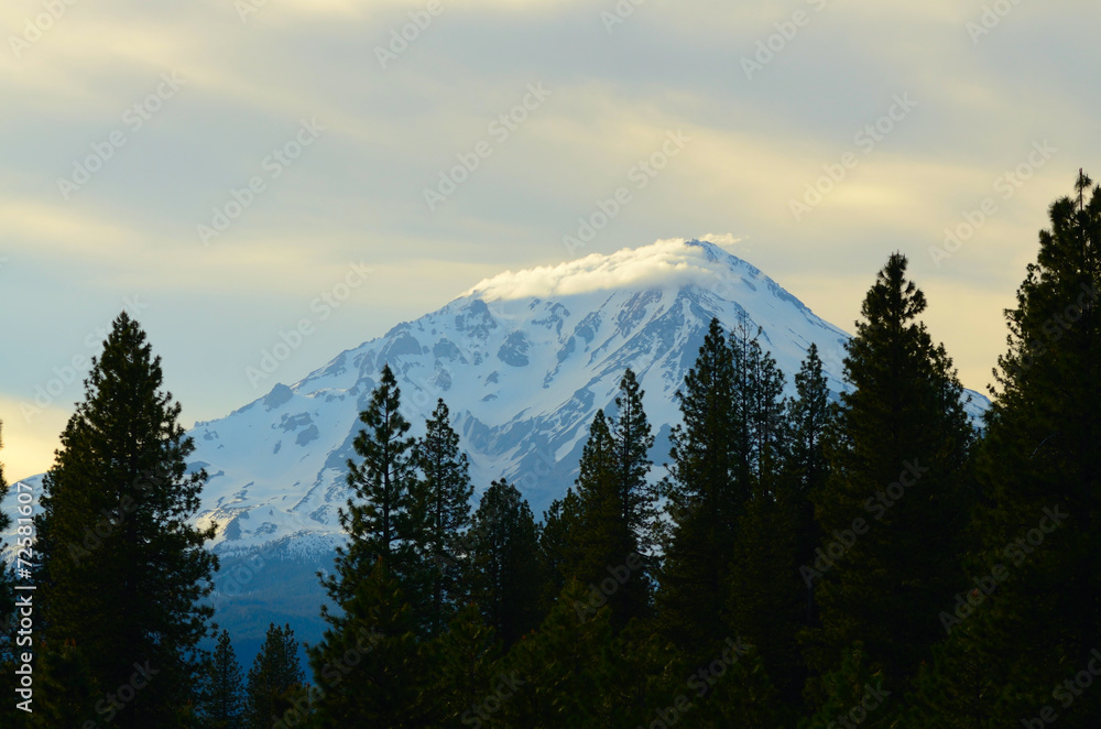 MT Shasta