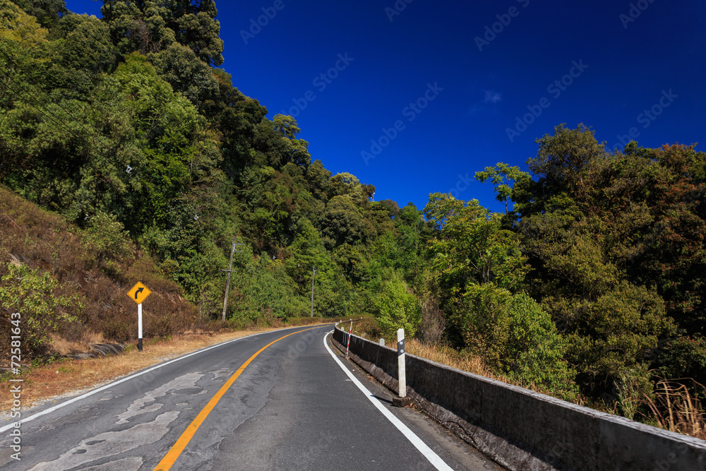 nature road