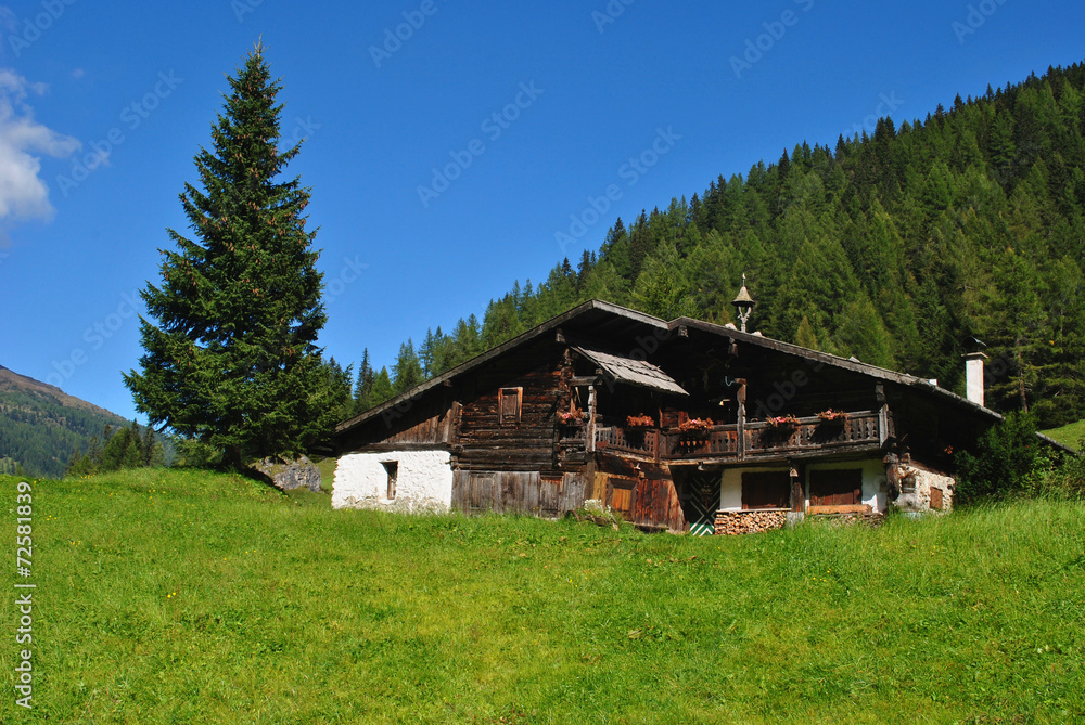 Fototapeta premium Almhütten Idylle