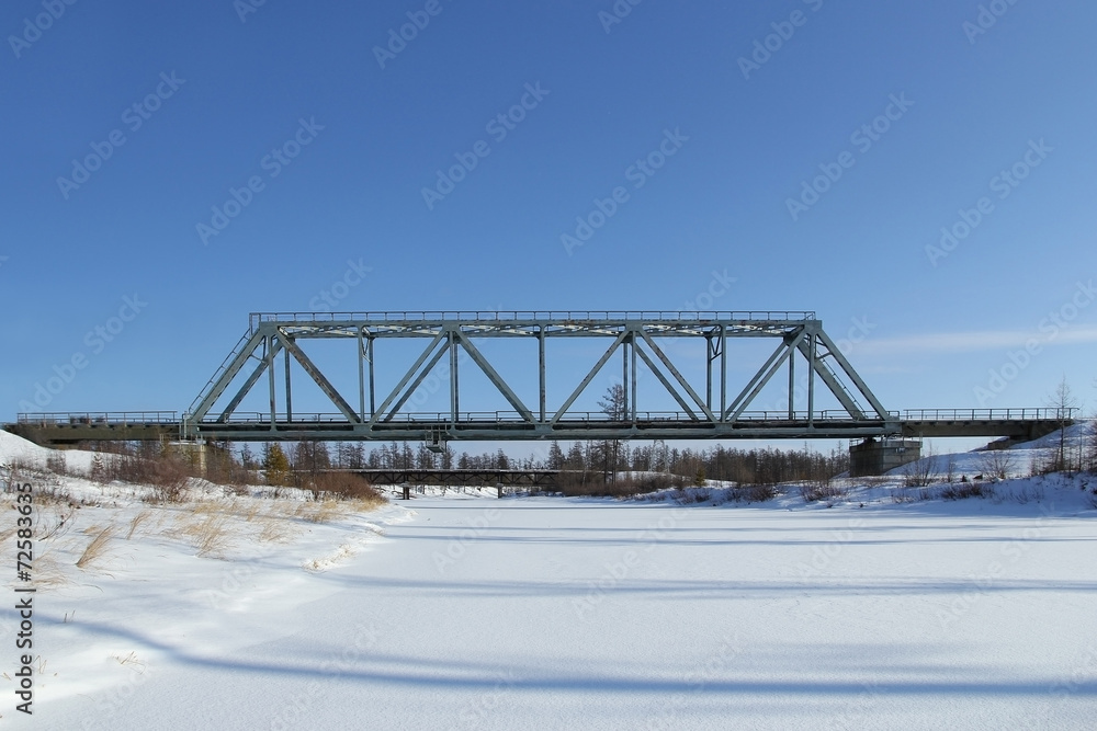 Obraz premium The railway bridge