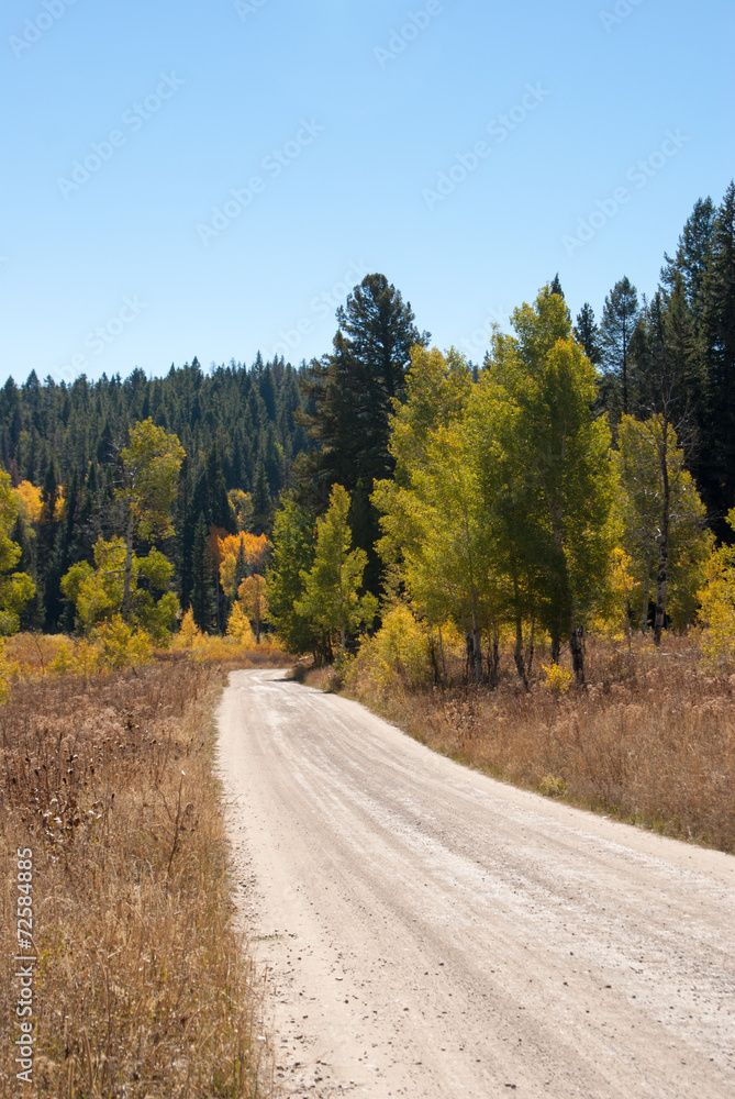 Fototapeta premium Dirt road in Grand Tetons National Park