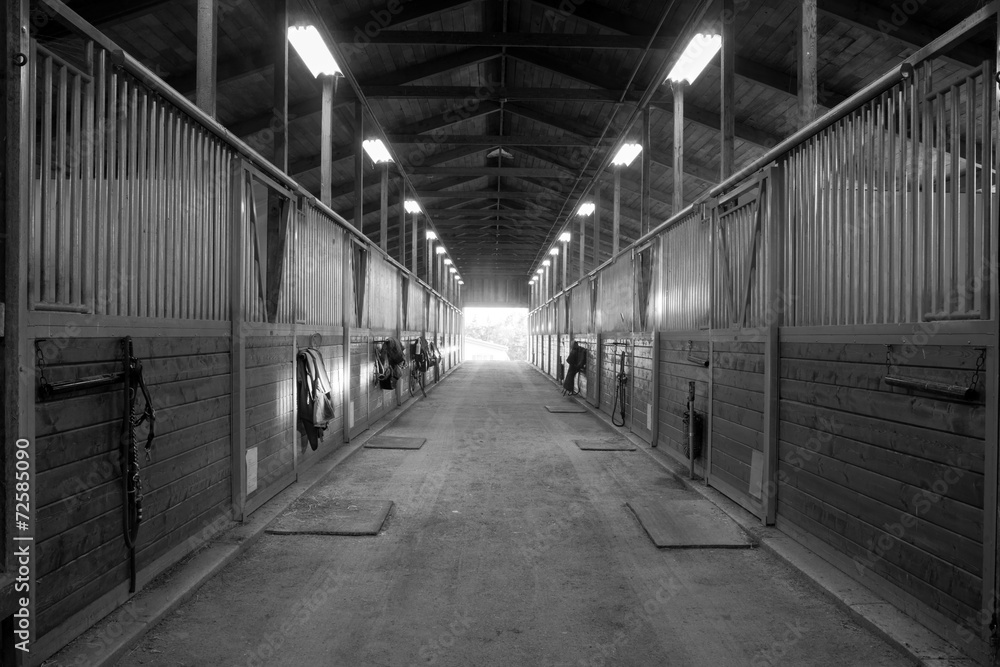 Center Path Through Horse Paddock Equestrian Ranch Stable
