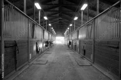 Center Path Through Horse Paddock Equestrian Ranch Stable © Christopher Boswell