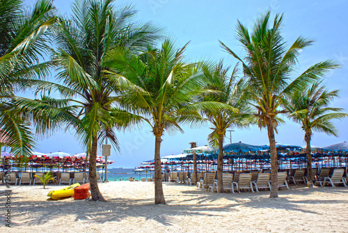 Sun umbrellas and beach chairs on tropical coastline, Thailand © MarinadeArt