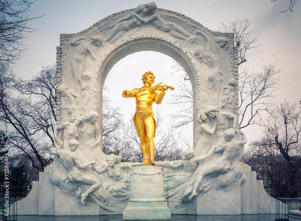 Fototapeta premium Strauss in snowstorm