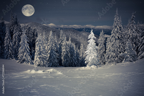Beautiful winter landscape in the mountains at night with stars