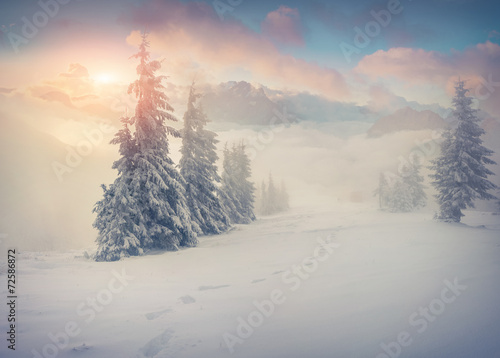 Beautiful winter sunrise in the foggy mountains. © Andrew Mayovskyy