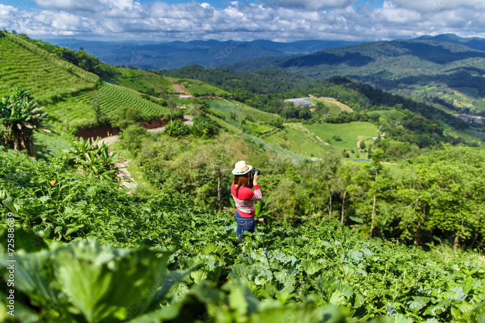 Obraz premium Young red shirt girl shooting photo in cabbage filed on tropical