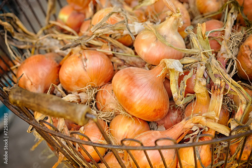 Fresh onions in basket